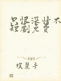 只恨深情不识鸢短剧免费