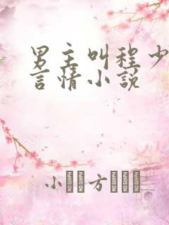 男主叫程少臣的言情小说