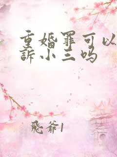 重婚罪可以只起诉小三吗