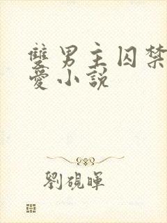 双男主囚禁强制爱小说