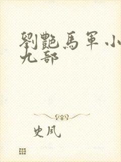 刘艳马军小说第九部