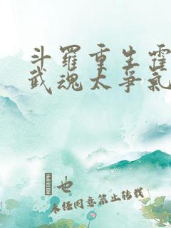 斗罗重生霍雨浩武魂太争气了笔趣阁