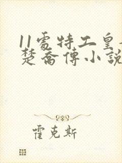 11处特工皇妃楚乔传小说