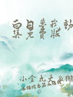 白日梦我动漫全集免费版