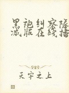 黑袍纠察队未删减版在线播放