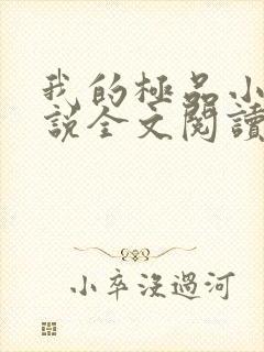 我的极品小姨小说全文阅读