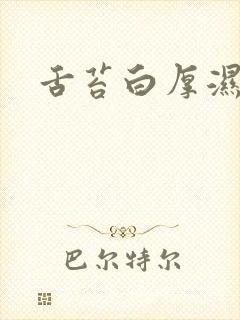 舌苔白厚湿气重