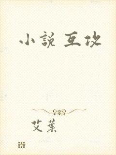 小说 互攻