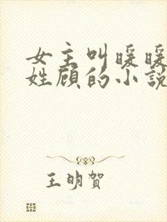 女主叫暖暖男主姓顾的小说