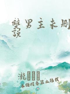 双男主未删减小说