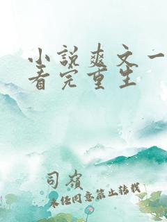 小说爽文一口气看完重生