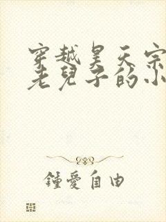 穿越昊天宗七长老儿子的小说