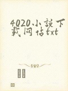 4020小说下载网站txt