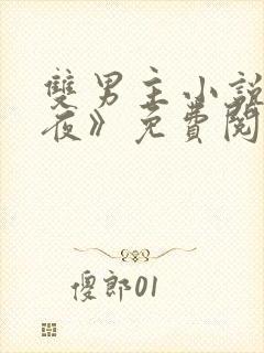 双男主小说《爱夜》免费阅读