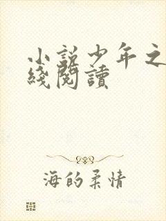 小说少年之心在线阅读