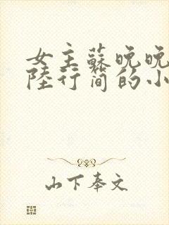 女主苏晚晚男主陆行简的小说