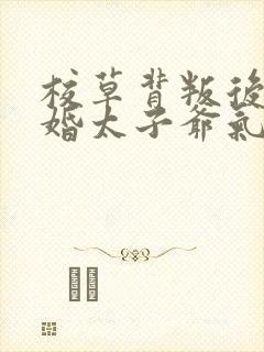 校草背叛后我闪婚太子爷气疯他苏念笙全本