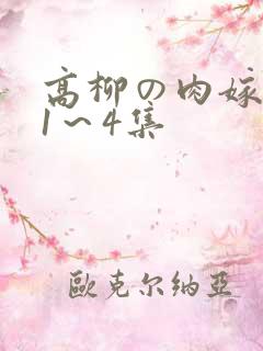 高柳の肉嫁动漫1~4集