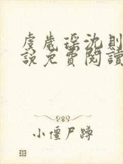 虞岁瑶沈则析小说免费阅读