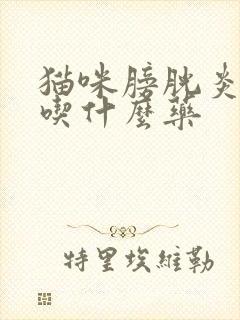 猫咪膀胱炎尿血吃什么药