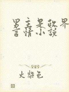 男主是政界高干言情小说