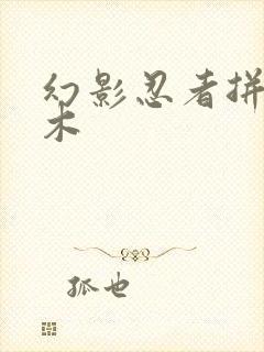 幻影忍者拼装积木