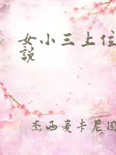 女小三上位的小说