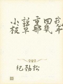 小说重回我爸当校草那几年在线看