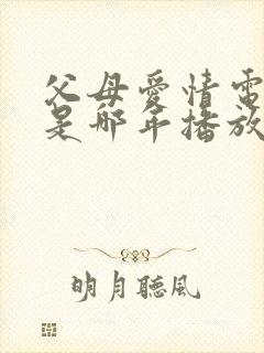 父母爱情电视剧是哪年播放的