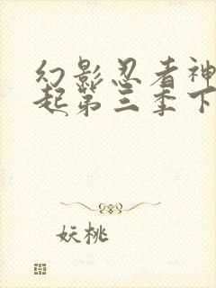 幻影忍者神龙崛起第三季下半部分免费观看