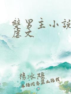 双男主小说推荐虐文