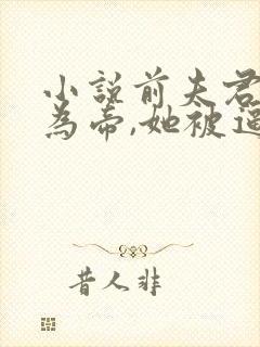 小说前夫君登基为帝,她被逼和离在线阅读