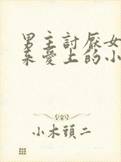 男主讨厌女主后来爱上的小说