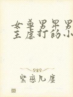 女尊男卑男被女主虐打的小说