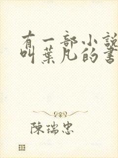 有一部小说主角叫叶凡的书名