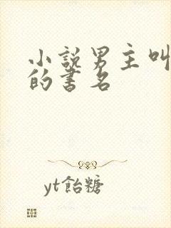 小说男主叫江野的书名