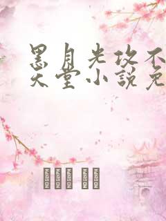 黑月光攻不想上天堂小说免费阅读全文笔趣阁