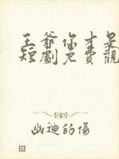 王爷你才是替身短剧免费观看全集