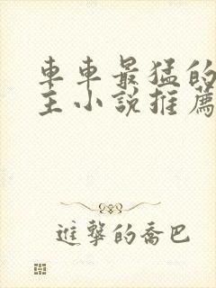 车车最猛的双男主小说推荐