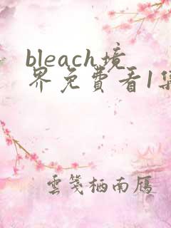 bleach境界免费看1集至115集