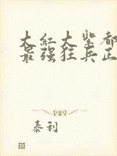 大红大紫都市之最强狂兵正版小说