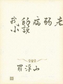 我的病弱老婆 小说