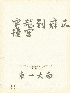 穿越到雍正极品后宫