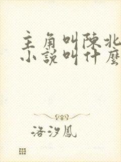 主角叫陈北玄的小说叫什么小说