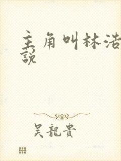 主角叫林浩的小说