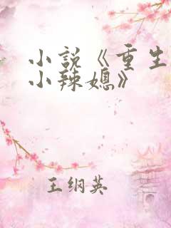 小说《重生七零小辣媳》