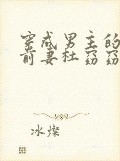 穿成男主的炮灰前妻杜窈窈 小说