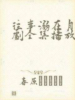 往事溺在月光短剧全集播放