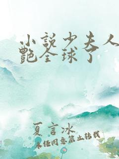 小说少夫人她惊艳全球了