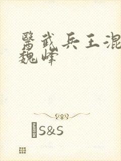 医武兵王混乡村魏峰